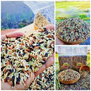 ข้าวกล้องสามสี 5 กิโลกรัม ตรามีสุข (ไรซ์เบอร์รี่+กล้องแดง+กล้อง กข.43)