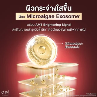 [แพ็คคู่] AMT Infinite Brightening Serum 25 mL - เซรั่มมอบผิวให้ดูโกลว์เล่นแสง กระจ่างใสขึ้นอย่างเป็นธรรมชาติ