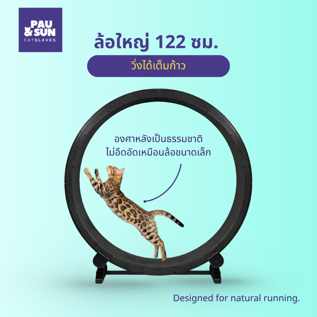 Pau & Sun ล้อวิ่งแมว 122 ซม. Premium Cat Wheel ลู่วิ่งแมว อุปกรณ์ออกกำลังกายแมว เงียบ มั่นคง สำหรับบ้านและคอนโด