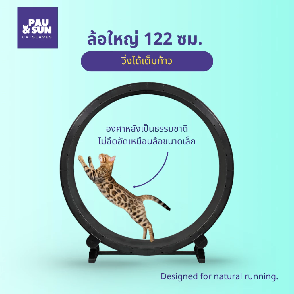 Pau & Sun ล้อวิ่งแมว 122 ซม. Premium Cat Wheel ลู่วิ่งแมว อุปกรณ์ออกกำลังกายแมว เงียบ มั่นคง สำหรับบ้านและคอนโด