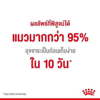 Royal Canin Digestive Care 0.4kg สำหรับแมวโตที่ต้องการดูแลระบบย่อยอาหาร อายุ 1 ปีขึ้นไป (Dry Cat Food, โรยัล คานิน)