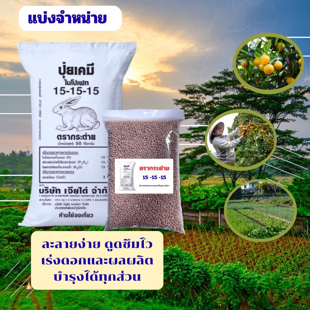 ปุ๋ยตรากระต่าย สูตร15-15-15 แบ่งขาย🍃[พร้อมส่ง-ส่งไว]
