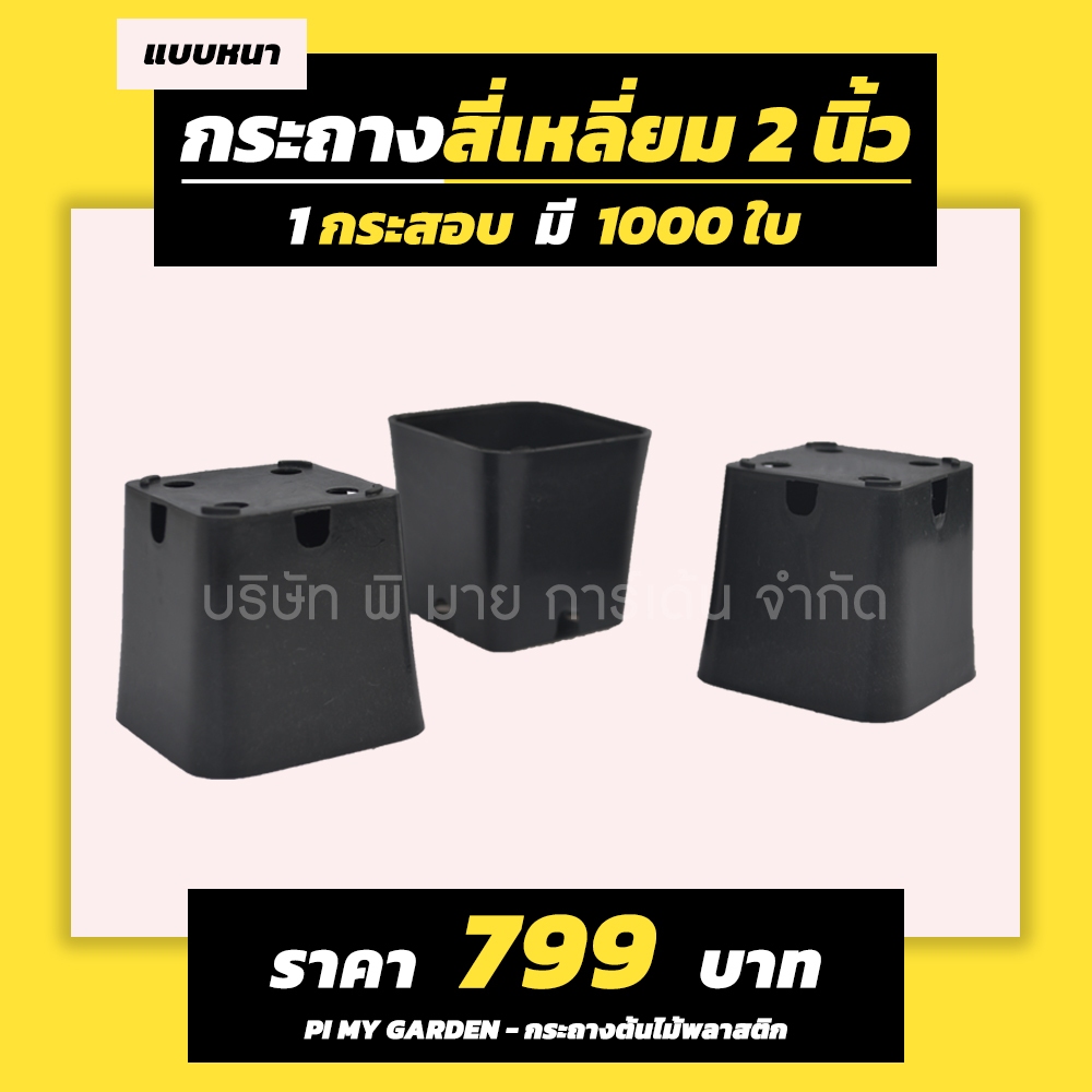 กระถางแคคตัส ทรงสี่เหลี่ยม 2 นิ้ว สีดำ แพ็ค 1000 ใบ