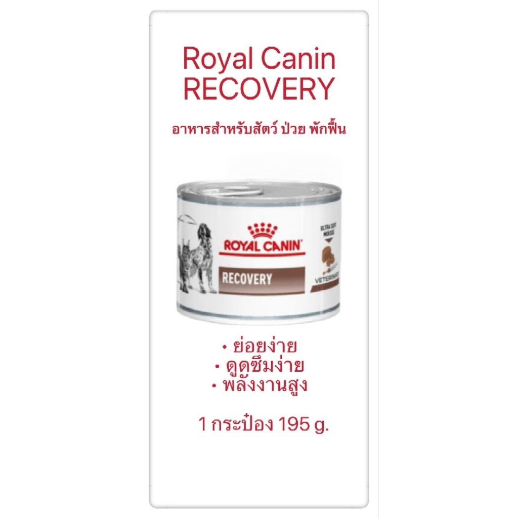 🐱 Royal Canin Recovery อาหารเปียกสำหรับสัตว์ป่วย/พักฟื้น