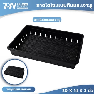 ถาดไดโซะแบบ ทึบ และ เจาะรู ถาดเพาะเมล็ด แยกกล้า ชำหน่อ กว้าง20x ยาว14xสูง3นิ้ว ถาดปลูกต้นไม้TMN_Hubs