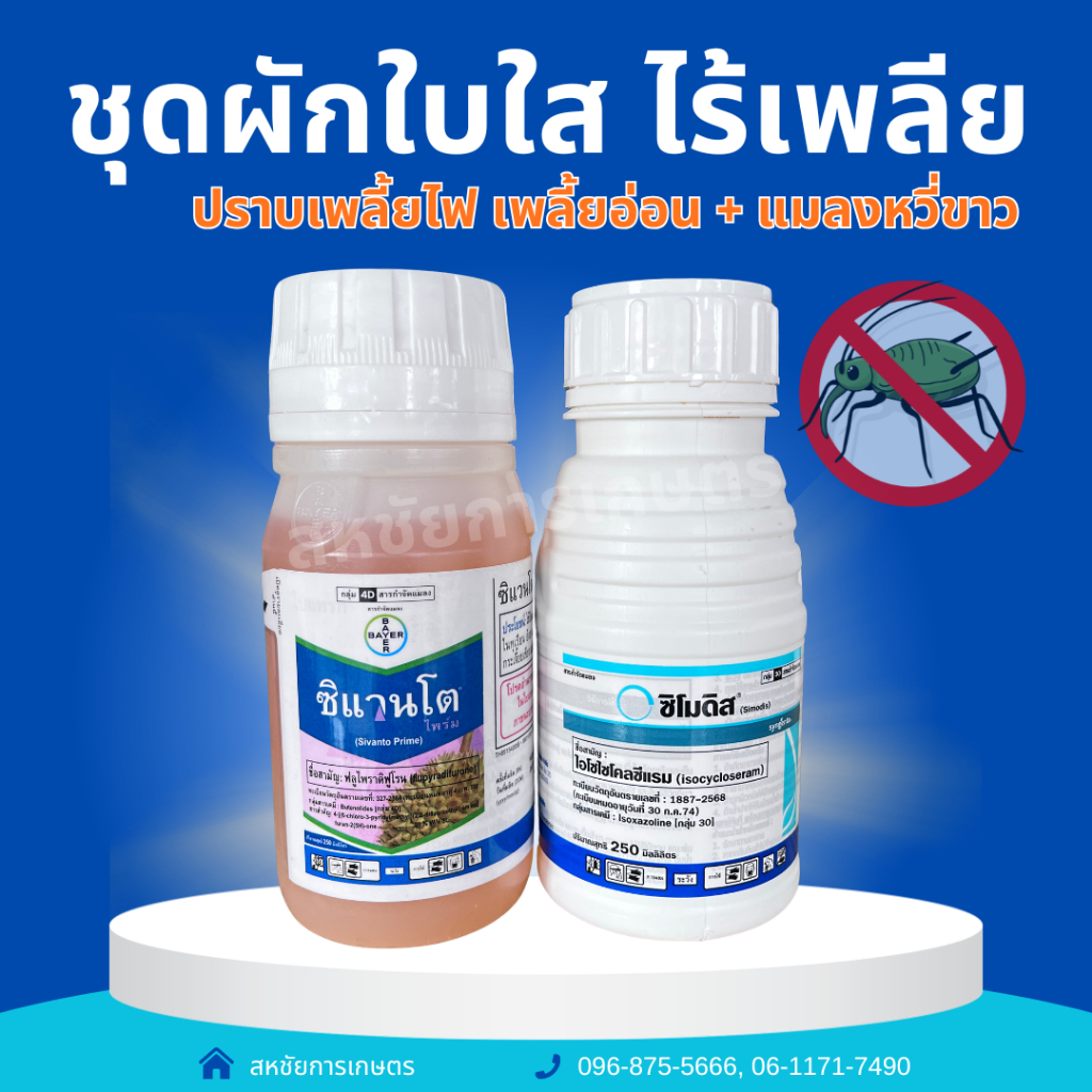 ชุดผักใบใส ไร้เพลี้ย | ซิแมนโต 250cc + ซิโมดิส 250cc กำจัดเพลี้ยไฟ เพลี้ยอ่อน แมลงหวี่ขาว