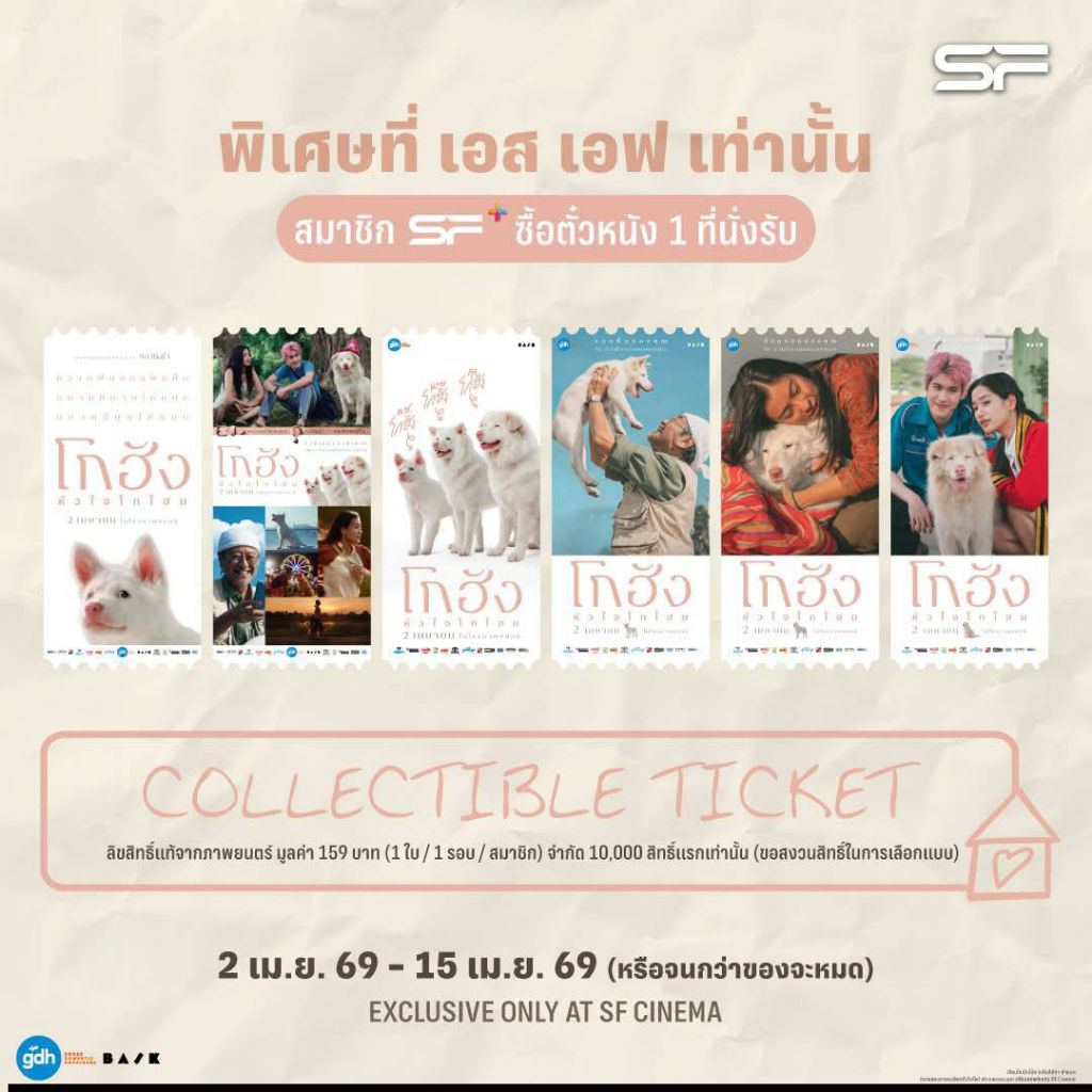 (ครบ6ใบ) Collectible Ticket โกฮัง หัวใจโกโฮม แท้จาก SF Cinema SF+ Collectible Ticket Gohan 2026 GDH 