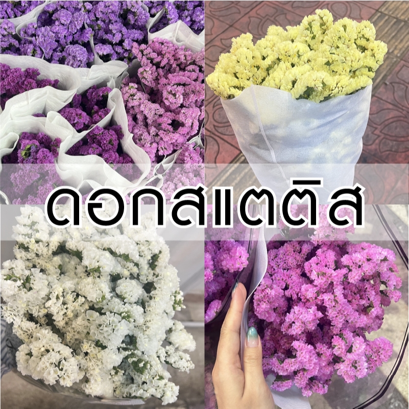 [จัดส่งใน 2 ชม.] ดอกสแตติส (ดอกไม้สด) - | บริการจัดช่อแบบ Minimal | ดอกไม้ปัจฉิม ดอกไม้รับปริญญา ดอกไม้แสดงความยินดี