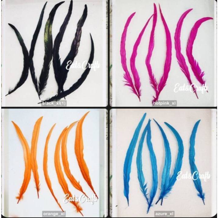 ขนไก่โต้ง ยาว 6ก้าน มีหลายสี (พร้อมส่ง) เส้นขน ขนนก ขนไก่ สีสวย แบ่งขาย ขนาดใหญ่ ยาว14-16 นิ้ว Rooster Coque