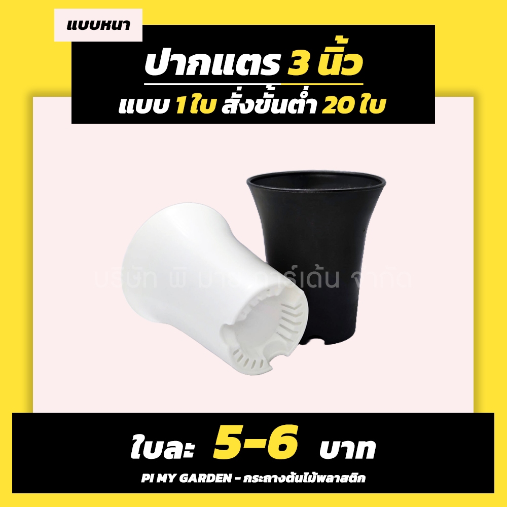 กระถางแคคตัส ทรงปากแตร 3 นิ้ว สีขาว สีดำ งานไทย ขั้นต่ำ 20 ใบ