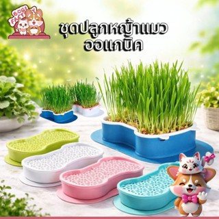 Boqi Factory กระถางปลูกพืช หญ้า สําหรับสัตว์เลี้ยง แมว ขนมขบ…