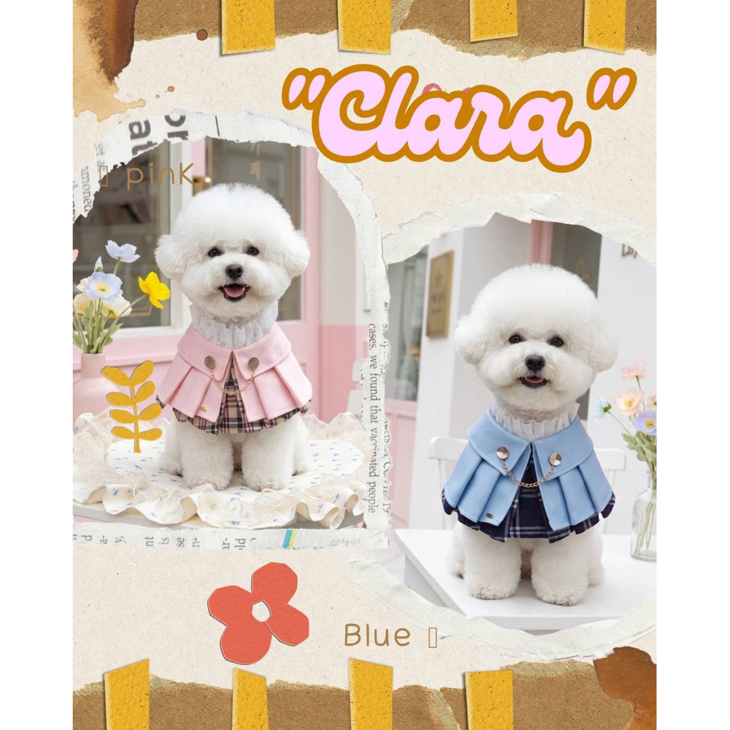 Fairy Tail | Calar ผ้าคลุมน้องหมา น้องแมว