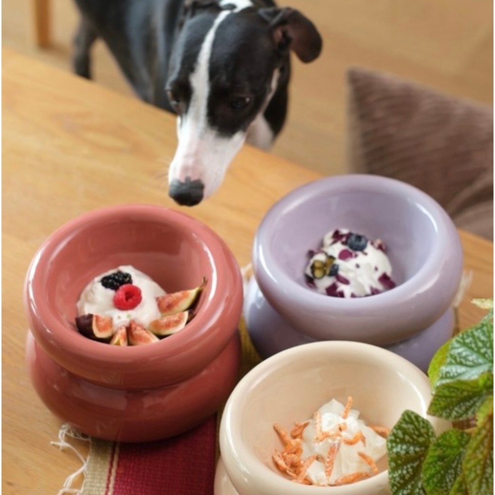 PEHOM- PREMIUM PET BOWL ถ้วยชามสัตว์เลี้ยง ชามอาหารหมาทรงสูง ชามเซรามิกยกสูง ชามข้าวสัตว์ ชามข้าวหมา ชามข้าวแมว