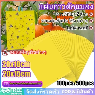 100 ชิ้น แผ่นสติกเกอร์ดักจับแมลง สองด้าน สําหรับกันยุง พืชในสวน ดักแมลงศัตรูพืช กาวดักแมลงวันทอง