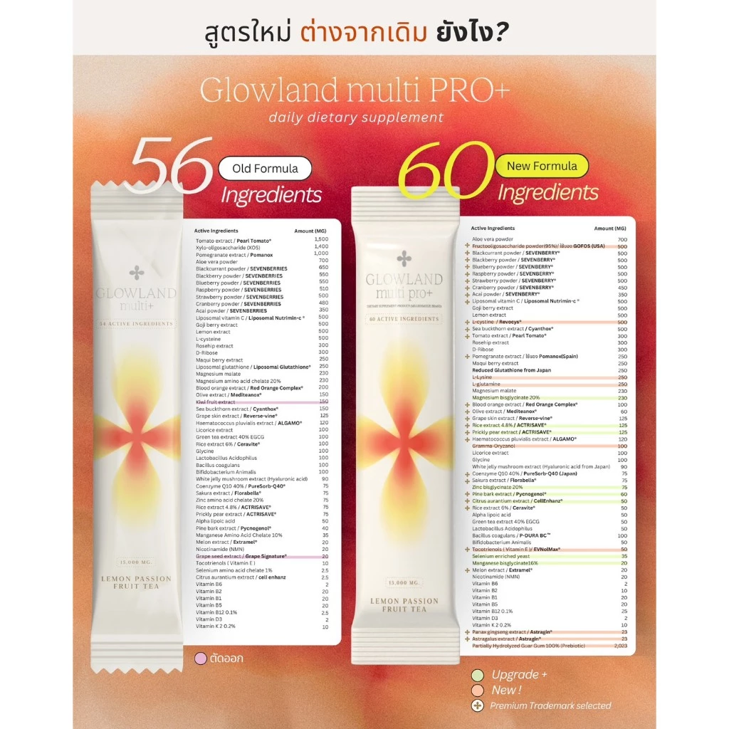[พร้อมส่ง60สารสกัด] Glowland สูตรใหม่ Multi PRO+ วิตามินผิว วิตามินกันเเดด ผิวออร่า ลดหมองคล้ำ อาหารผิว thumbnail 5