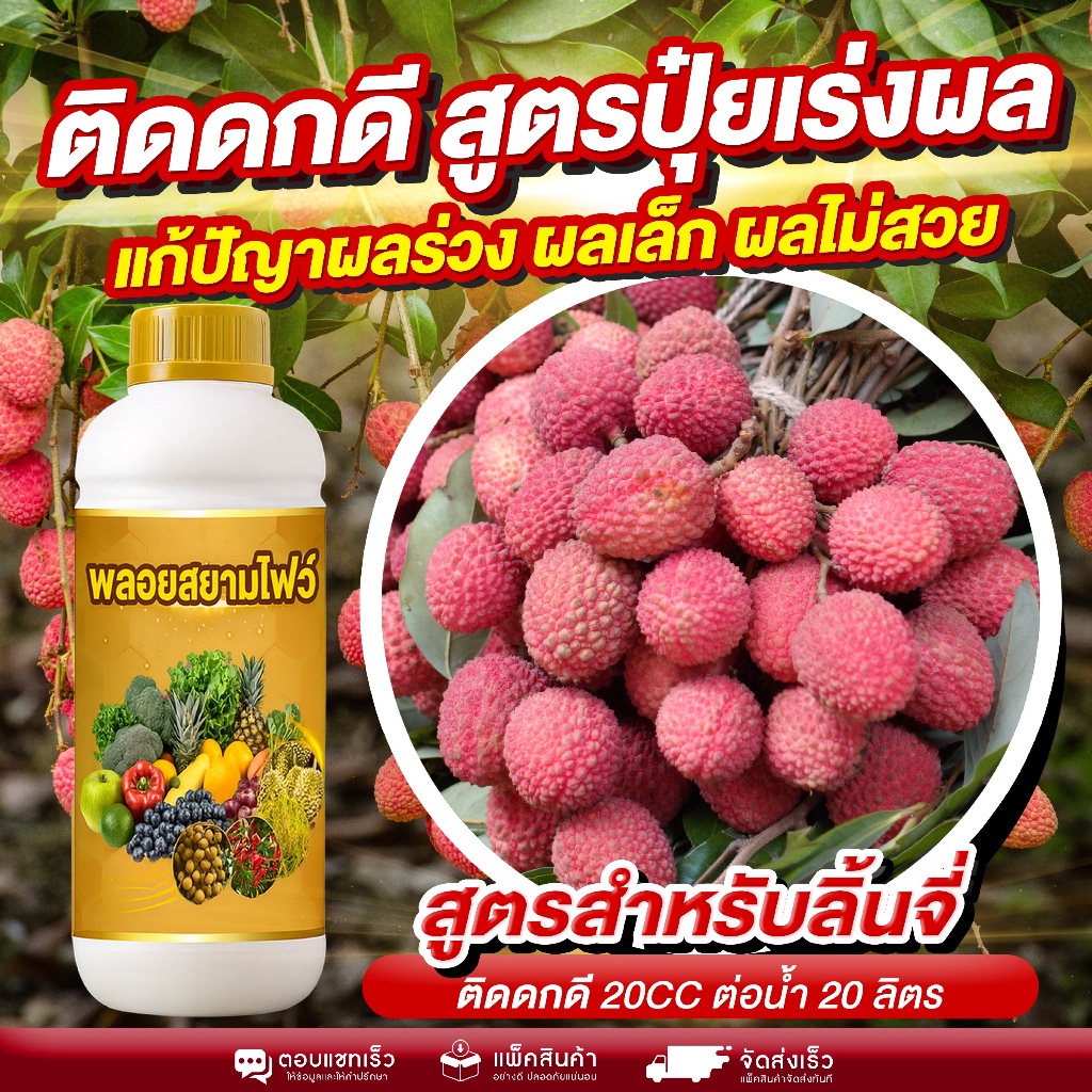 สูตรเร่งผลลิ้นจี่ ติดลูกดก ลูกใหญ่ สีสวย แก้ปัญหาผลร่วง ผลแน่นทั้งช่อ ลูกโตสม่ำเสมอ ผิวสวย เเพิ่มน้ำหนัก เนื้อแน่น หวาน