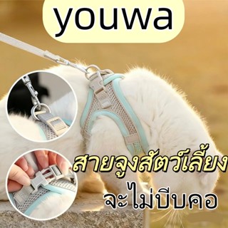สายจูงสัตว์เลี้ยง ชุดสัตว์เลี้ยงพร้อมเสื้อสะท้อนแสงและสายจูง…