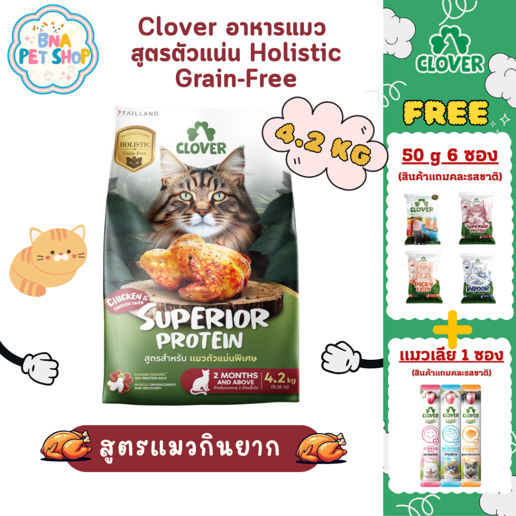 Clover สูตร Superior Protein ขนาด 4.2 KG สำหรับแมวอยากตัวแน่น holistic grain-free ตัวแน่น ถนอมไต