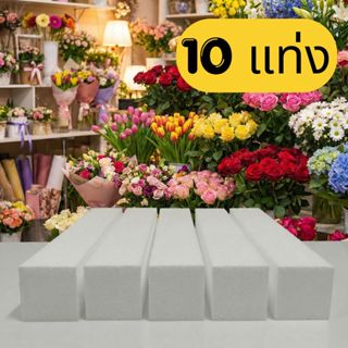 โฟมแท่งไม่ลามไฟ ขนาด - 2