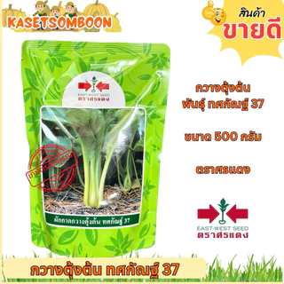 กวางตุ้งต้น ทศกัณฐ์ 37 เมล็ดพันธุ์ 500 ก. ตรา ศรแดง