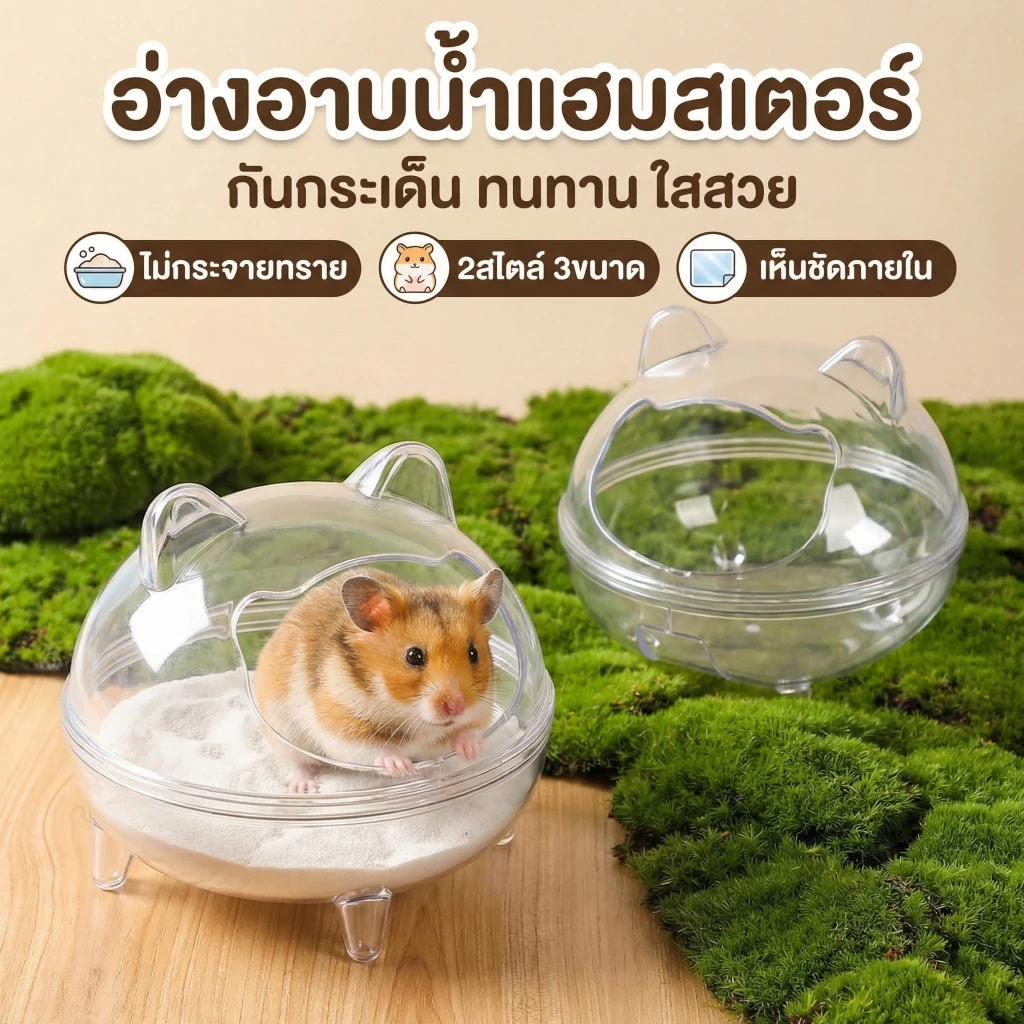wen.W2 อ่างทรายอาบน้ำหนูแฮมเตอร์