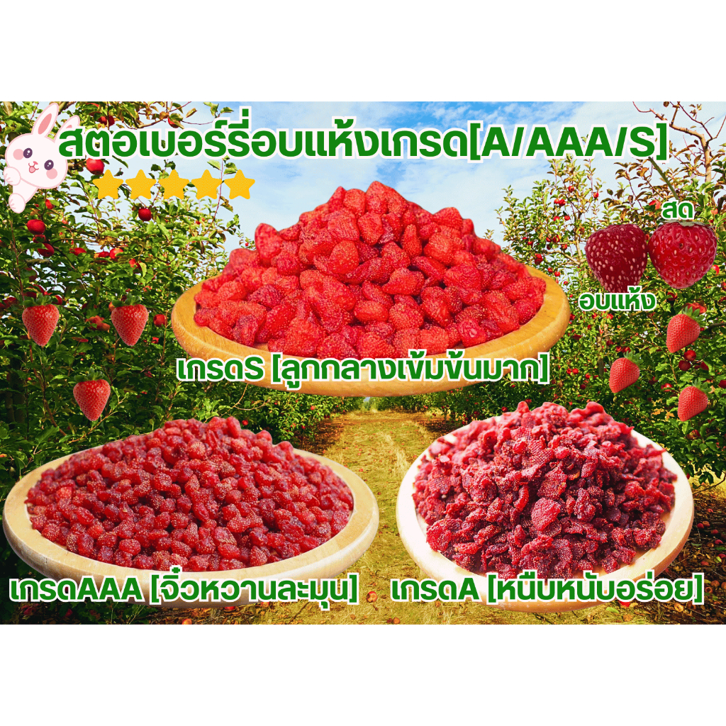 สตอเบอร์รี่อบแห้งเกรดพรีเมี่ยมจากจังหวัดเชียงรายเกรดA/AAA/S (250-1000กรัม)หวานฉ่ำอร่อยมาก🍓🍓🍓 สีสันน่ารับประทาน
