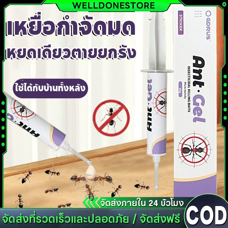 (แพค3หลอด) เจลกำจัดมด Anti Ant แอนติแอนท์ เหยื่อกำจัดมด เจลล่อมด หยดเดียวตายยกรัง