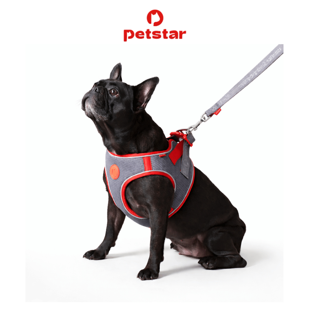 Petstar สายรัดอกสุนัข Pet Leash สายจูงสุนัข ไม่รัดคอ วัสดุผ้าไนลอน ยาว 1.2 เมตร มีให้เลือก 3 ขนาด