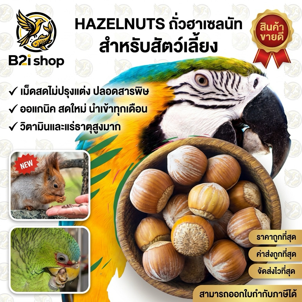 Hazelnuts ถั่วฮาเซลนัท สด สำหรับสัตว์เลี้ยง เนื้อแน่น กระรอก นก นกแก้ว หนู ถั่ว MACAW NUT ถั่วนกแก้ว