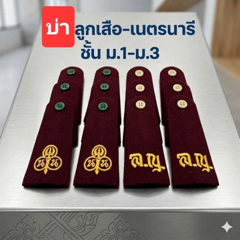 บ่าลูกเสือ เนตรนารี ของชั้น ม.1-ม.3