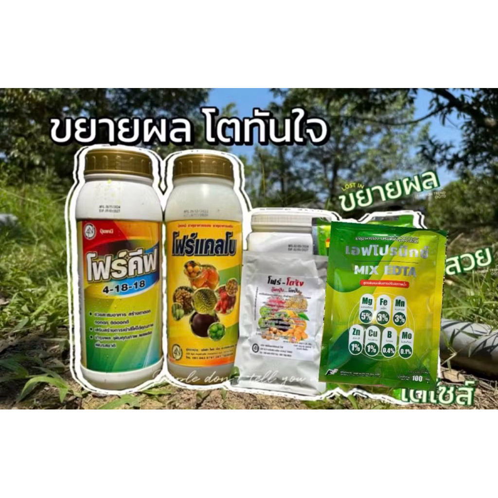 โฟร์คีฟ โฟร์แคลโบ โฟร์โตจัง เอฟโปรมิกซ์2 (ชุดขยายผลทันที) ใช้ได้กับไม้ผลทุกชนิด – โปรปัง