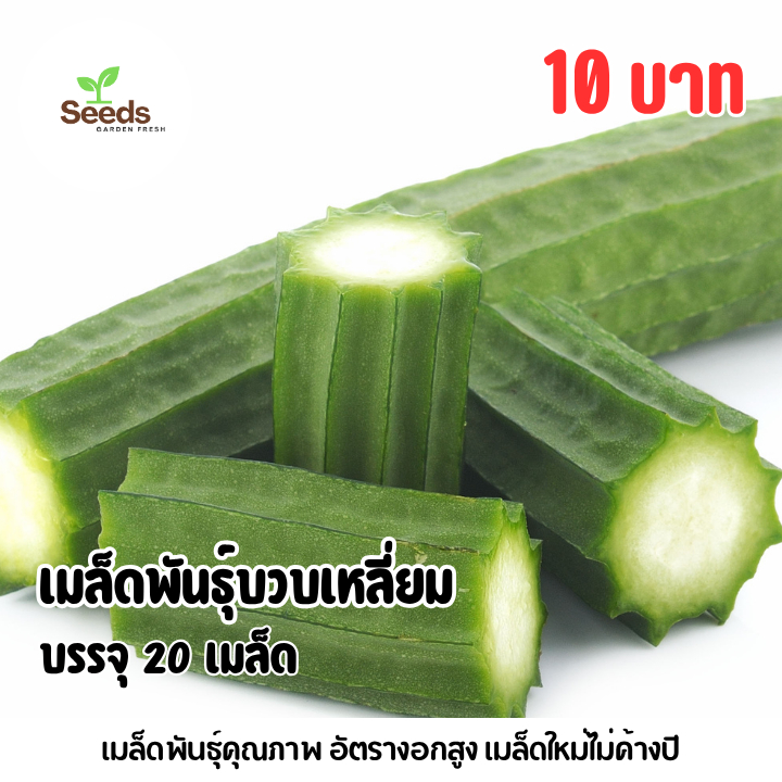 เมล็ดพันธุ์บวบเหลี่ยม บรรจุ 20 เมล็ด