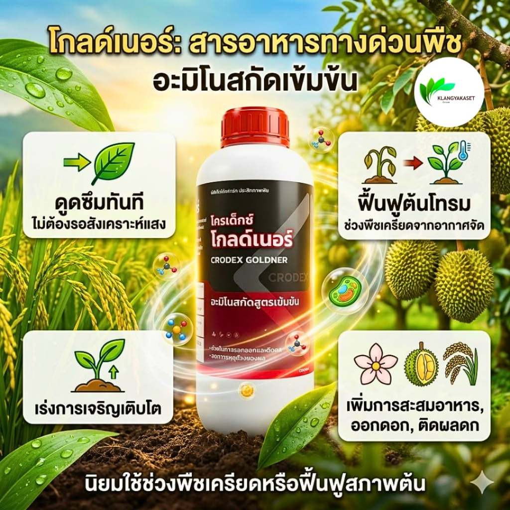 โกลด์เนอร์ 1 ลิตร  อะมิโน แอซิด พืช จากเนเธอแลนด์ เพิ่มน้ำหนัก ขยายผล รสชาติดี สีสันสวย เผือก นาข้าว ไม้ผล