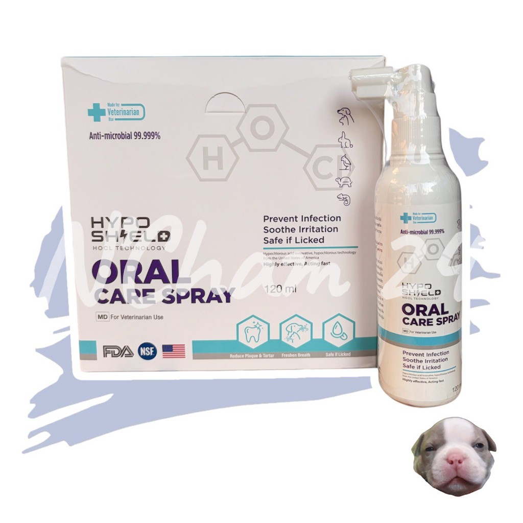 Hyposhield Oral Care Spray ขนาดบรรจุ 120 ml ไฮโปชิลด์ ออรัล แคร์ สเปรย์ ป้องกันการเกิดคราบหินปูนและกลิ่นปาก
