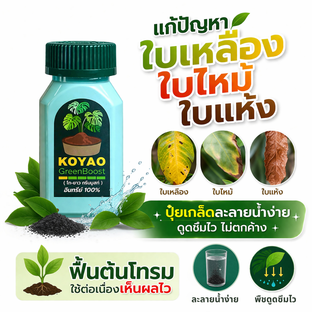 KOYAO Green Boost ปุ๋ยอินทรีย์ 50 กรัม แก้ใบเหลือง ใบแห้ง ฟื้นต้นโทรม ใบเขียว แตกยอดใหม่ ดอกดก ผลดก ปุ๋ยบำรุงพืชทุกชนิด