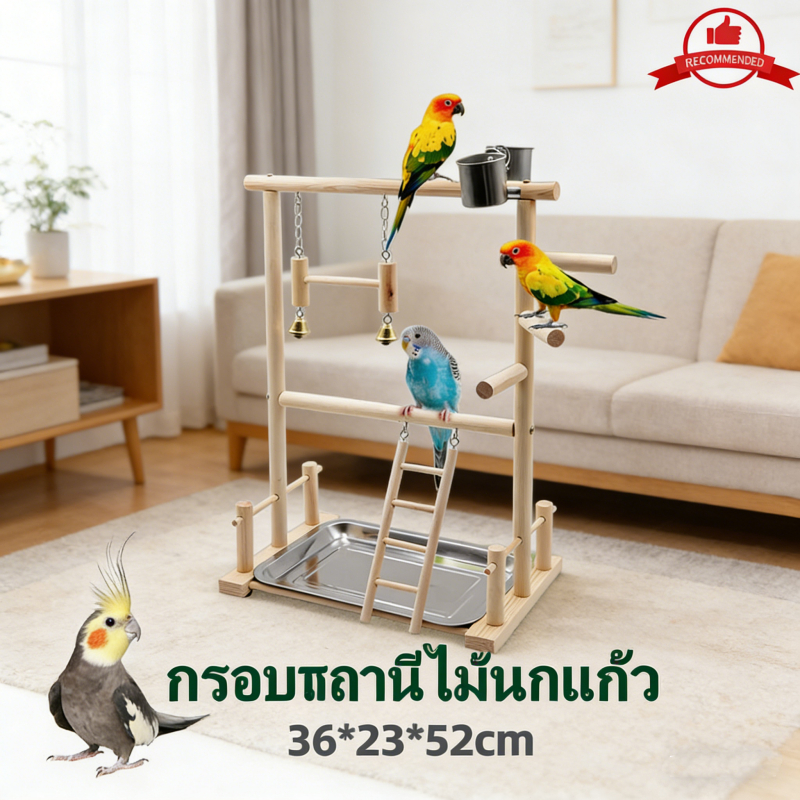 แท่นชิงช้านกไม้ 2 ชั้น ขนาดใหญ่ พร้อมบันไดและถาดรอง คอนฝึกนก