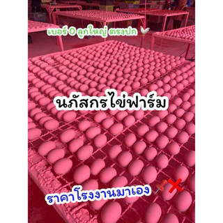 ไข่เยี่ยวม้า ปลอดสารพิษ สดใหม่ อร่อยสะอาด ลูกใหญ่พิเศษ