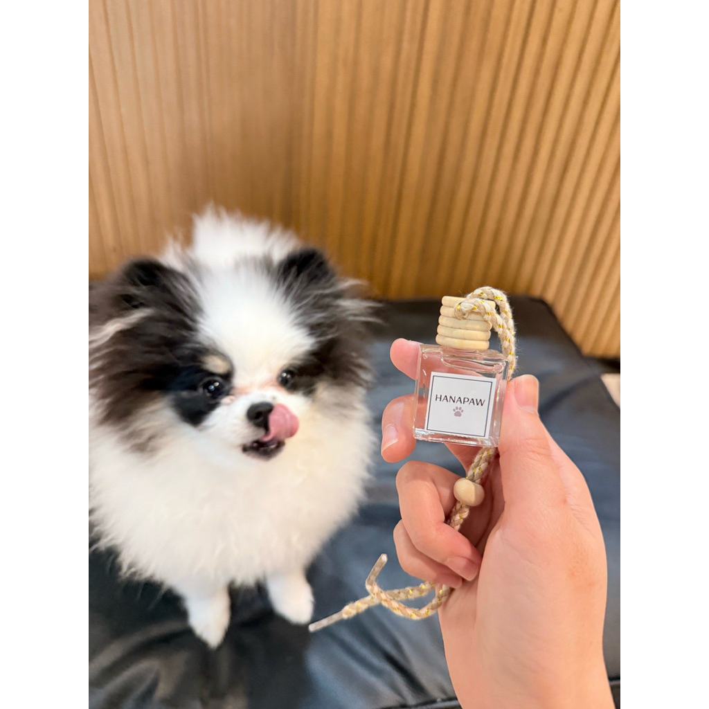 น้ำหอมรถยนต์ Pet Friendly หอมสะอาด ไม่ฉุน (Alcohol-Free) ราคา ถูกที่สุด ดีลบีเคเค แกลเลอรีภาพที่ 4