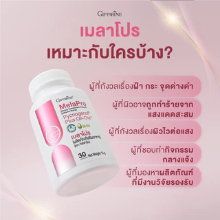 เมลาโปร พิกโนจีนอล กิฟฟารีน Mela Pro Pycnogenol Giffarine สารสกัดเปลือกสนฝรั่งเศส ผสมมะกอกสกัด