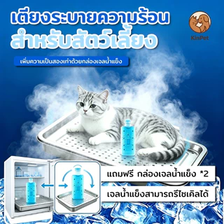 ที่นอนเย็นสำหรับแมว (แถมขวดน้ำแข็ง 2 ขวด) ที่นอนเย็นสำหรับสัตว์เลี้ยง ้ความเย็นด้วยวิธีทางกายภาพ สะอาด ผ ผลิตจากวัสดุรี