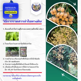โซเดียมคลอเรต สารเร่งดอกลำไยของแท้ ไม่ผสม ใช้ไม่ได้ผลยินดีคืนเงิน