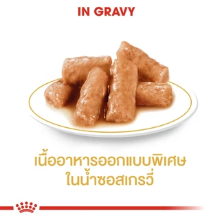 Royal Canin British Shorthair Pouch อาหารเปียกพันธุ์บริติชชอร์ทแฮร์