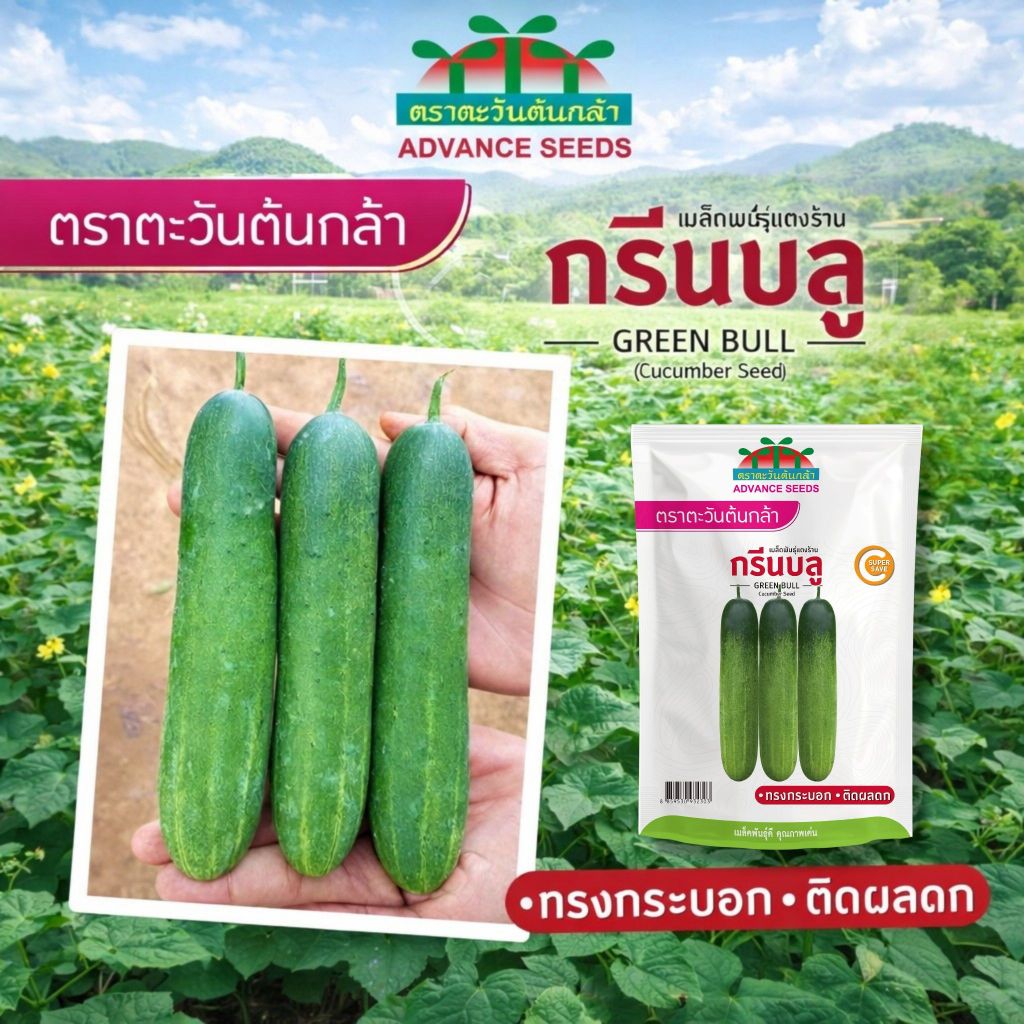 เมล็ดแตงร้าน กรีนบลู ตราตะวันต้นกล้า ขนาด20กรัม AKKHANI เมล็ดพันธุ์ร้าน เมล็ดพันธุ์ผัก