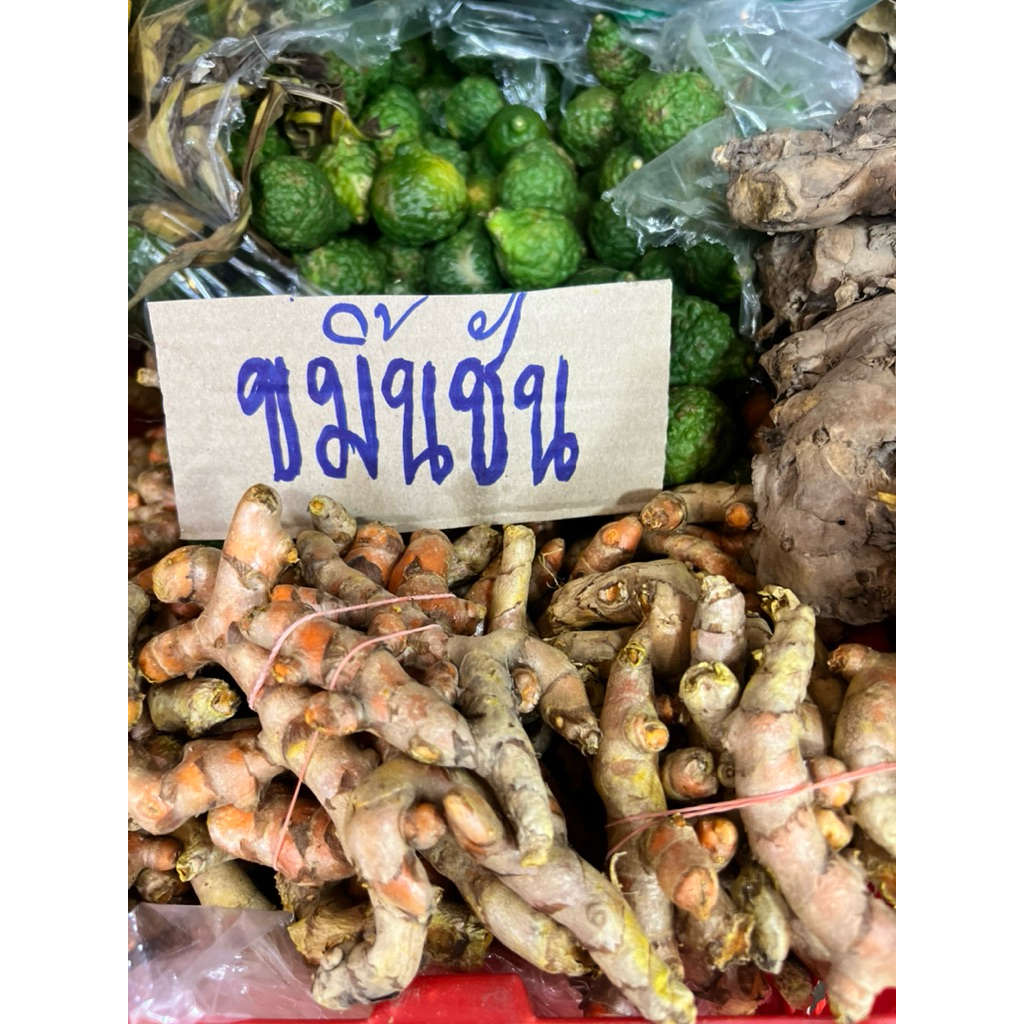 ขมิ้นชันสด1 กิโลกรัม (มีไพลสด,ว่าชักมดลูก,ว่านนางคำ,ขมิ้นอ้อย)จากธรรมชาติ