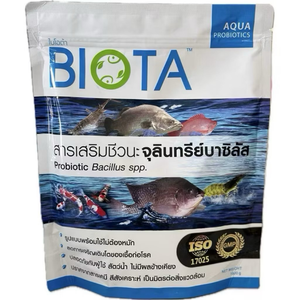 จุลินทรีย์ BIOTA ช่วยแก้ปัญหาน้ำเขียว น้ำขุ่น ลดตะกอน พร้อมใช้ไม่ต้องหมัก สำหรับบ่อกุ้งและบ่อปลา ขนาดถุง1กก.