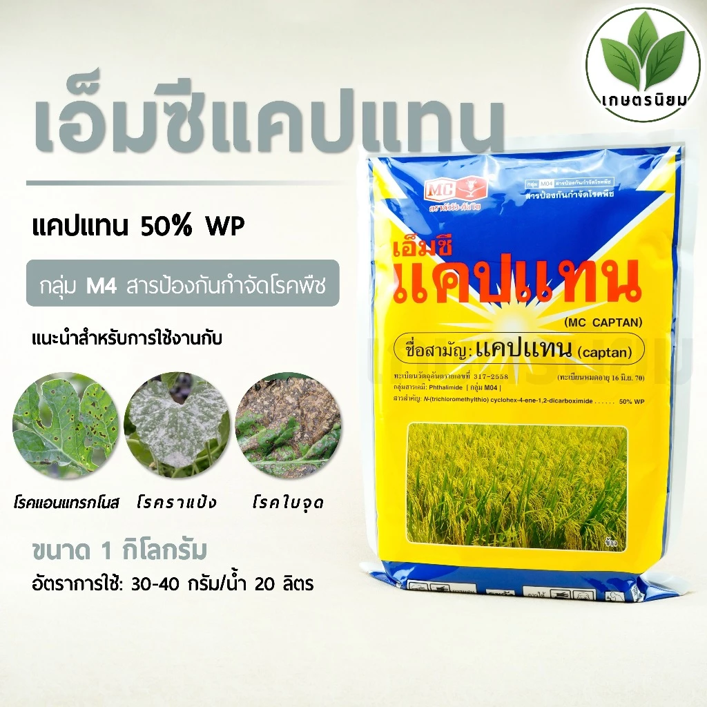 เอ็มซี แคปแทน ตราหัววัว (แคปแทน 50% WP) 1 กิโลกรัม