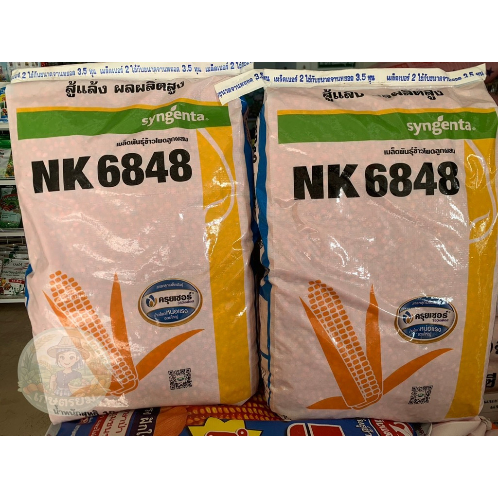 เมล็ดข้าวโพด NK 6848( 3.5   หุน ) ขนาด 10 Kg. ทนแล้ง ลำต้นแข็งแรง  ปลูกถี่ได้