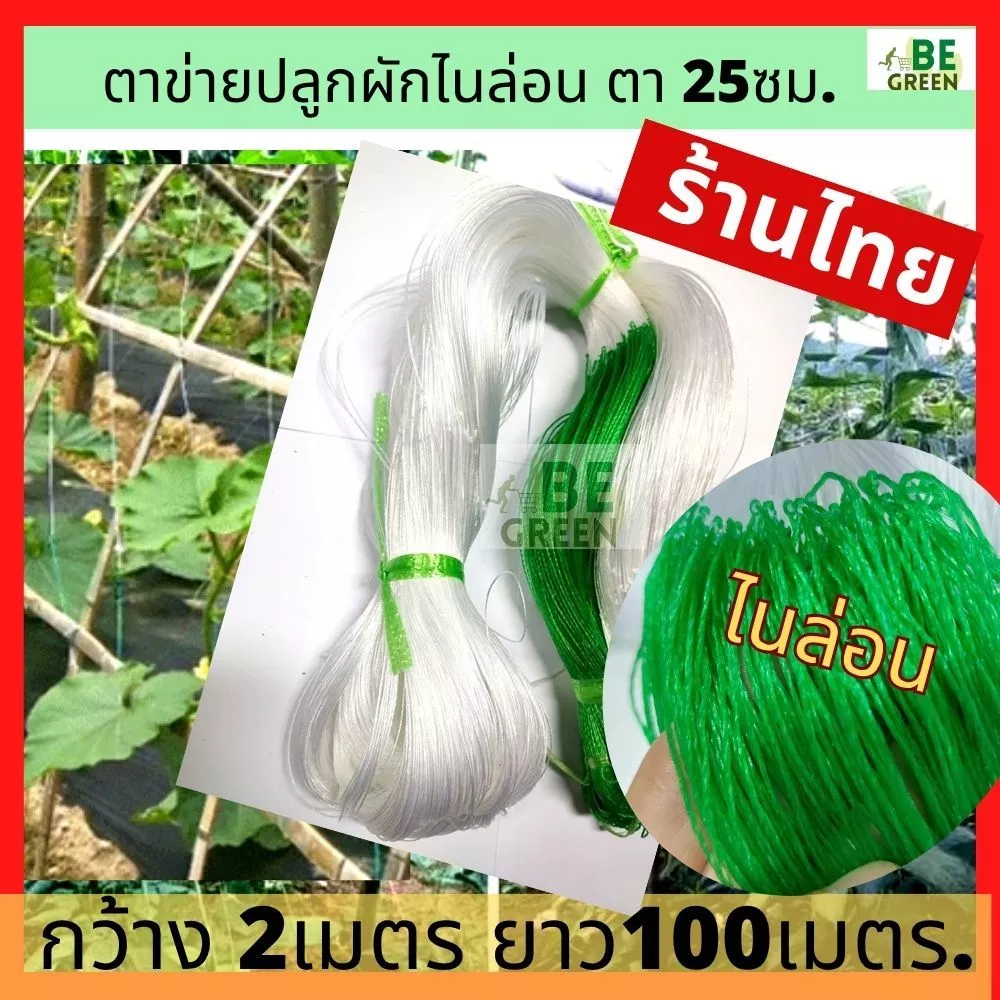 ค้างปลูกผัก ตาข่ายปลูกแตงกวา 2x100 ตาข่ายปลูกผัก อวนแตง ค้างผัก ปลูกไม้เลื้อย มะระ ค้างแตง ผักเลื้อย ตะข่ายไนล่อน