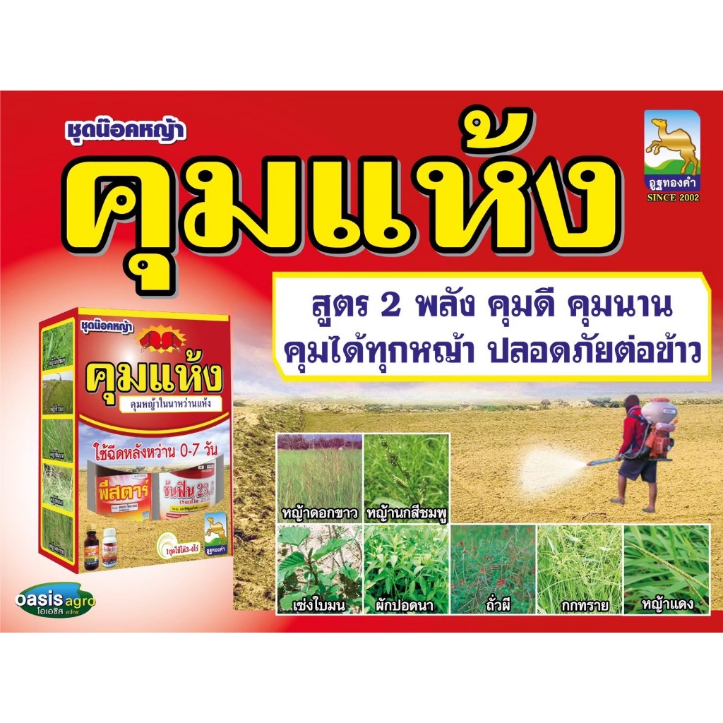 คุมแห้ง ยาคุมนาข้าวหว่านแห้ง คุมได้ทั้งหญ้าใบแคบและใบกว้าง ฉีดได้ทั้งดินชื้นและดินแห้ง 1 ชุด สามารถฉีดได้ 3-4 ไร่