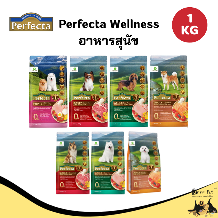 Perfecta Wellness อาหารสุนัข 1 กก. อาหารเม็ดสุนัขพรีเมียม โปรตีนสูง สำหรับสุนัขทุกวัย